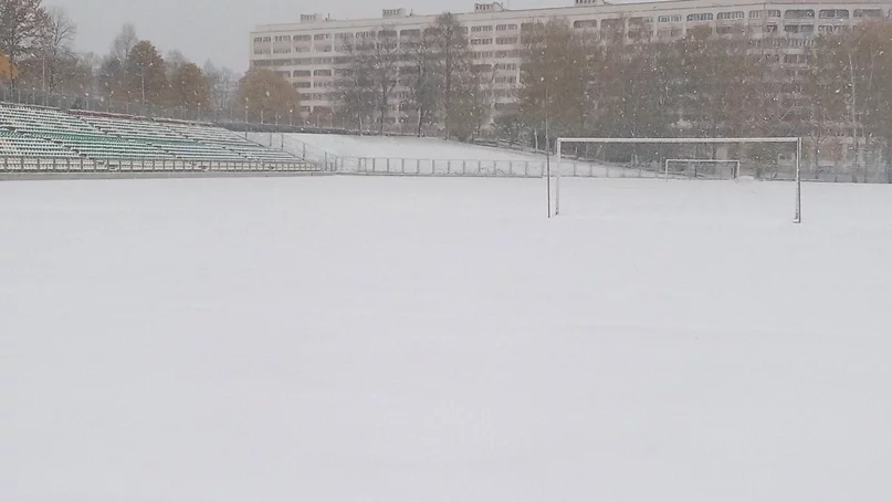 Поле на стадионе «Атлант» в Новополоцке. Фото: ФК «Нафтан»