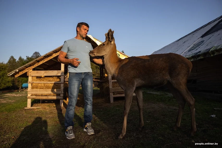 Aleń Fiodar i jaho haspadar Aleh Oleń Fiodor i jeho choziain Oleh Deer Fyodor and his owner Oleg 